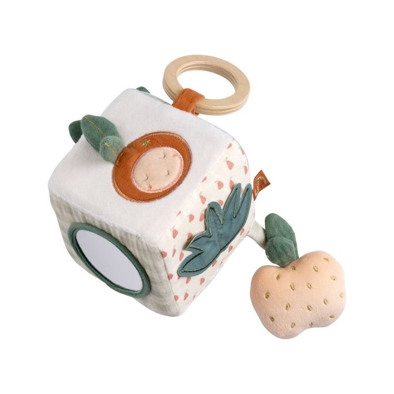 Cubo de actividades Botanica