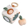 Cubo de actividades Botanica